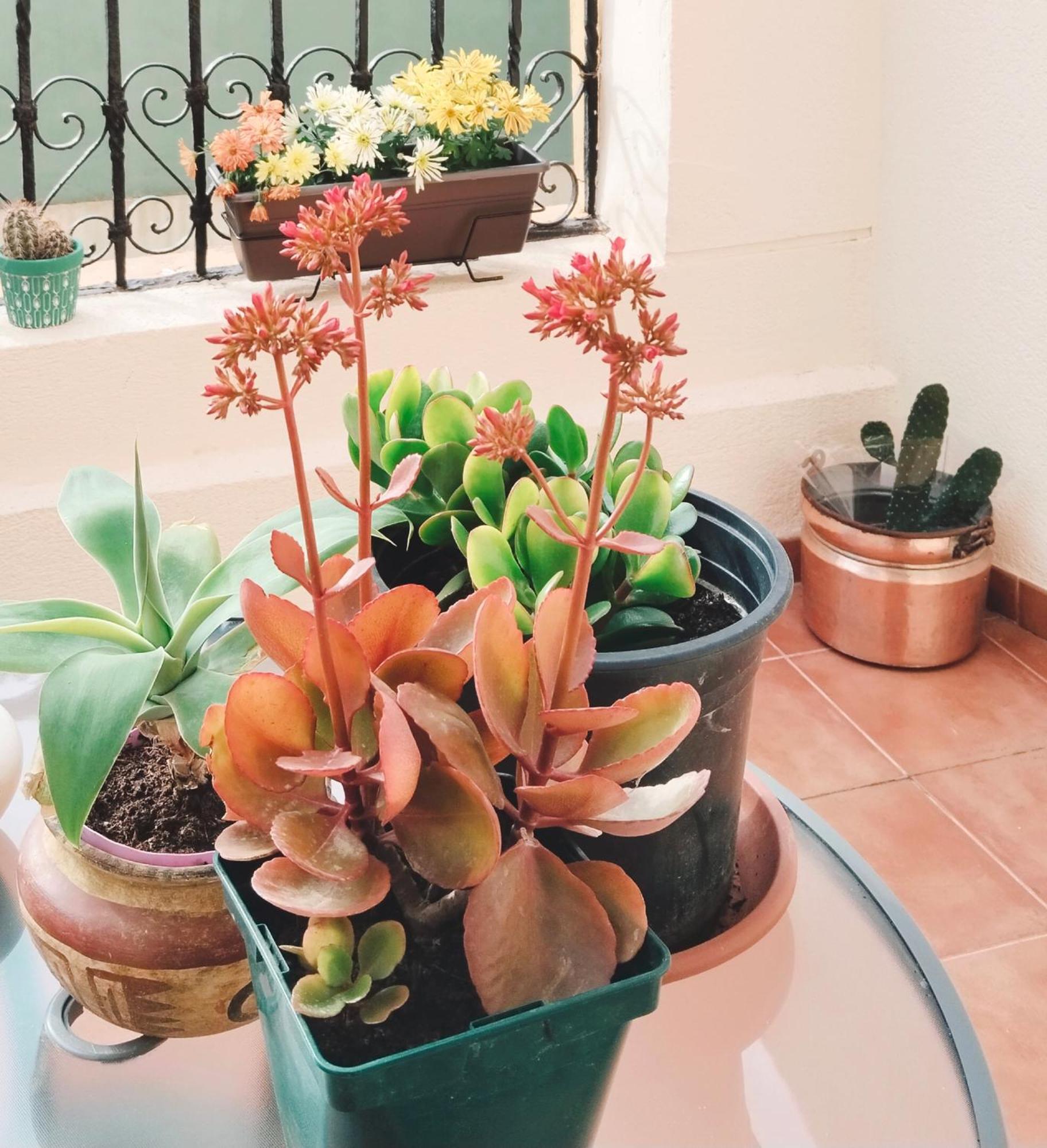 شقة La Casa De La Luz, Atico Con Terraza Privada, Parking Free كارتاخينه المظهر الخارجي الصورة